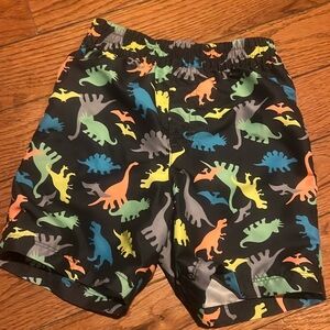 Dinosaur Swim Trunks